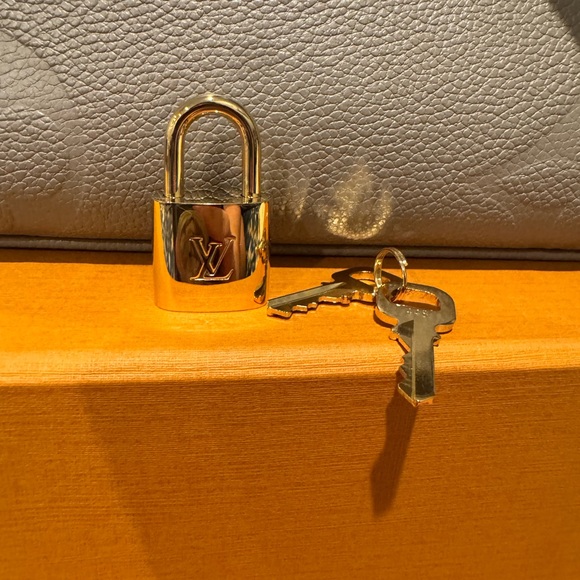 Louis Vuitton Gray Satchel with Embossed Monogram - Picture 6 of 16